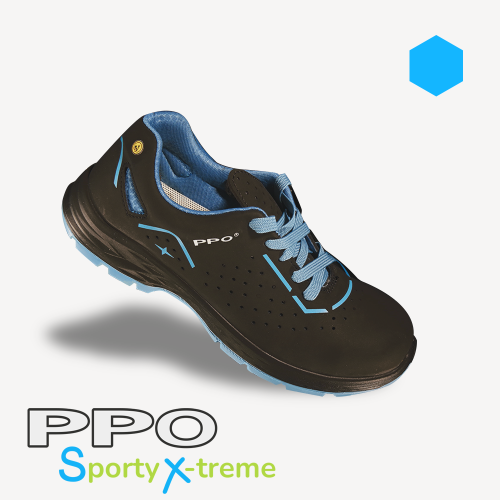 PPO model SX4.png